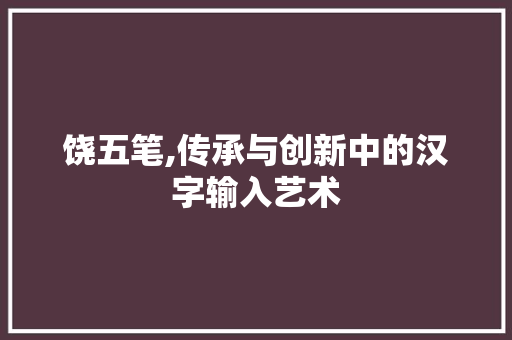 饶五笔,传承与创新中的汉字输入艺术