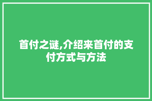 首付之谜,介绍来首付的支付方式与方法