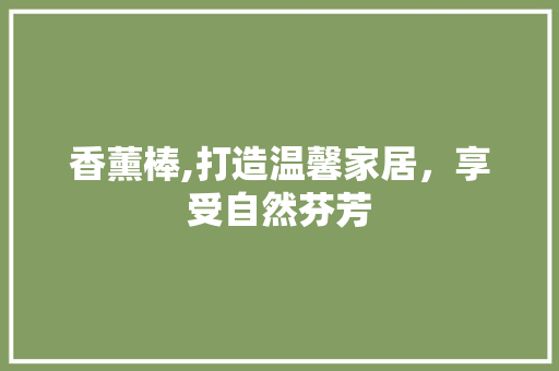 香薰棒,打造温馨家居，享受自然芬芳