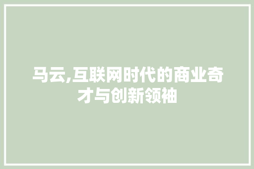 马云,互联网时代的商业奇才与创新领袖