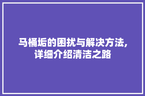 马桶垢的困扰与解决方法,详细介绍清洁之路