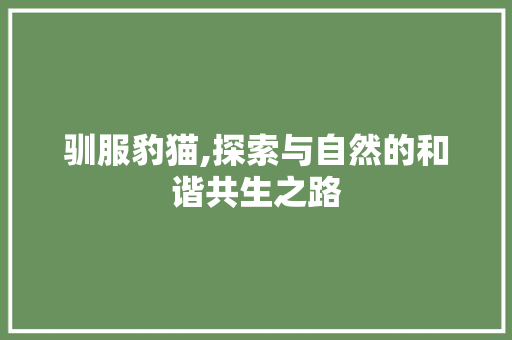 驯服豹猫,探索与自然的和谐共生之路 电脑基础