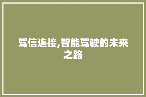 驾信连接,智能驾驶的未来之路