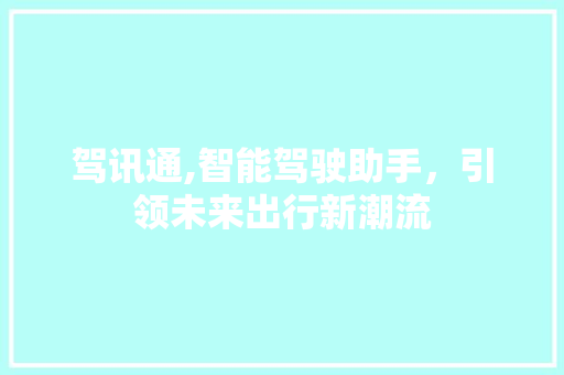 驾讯通,智能驾驶助手，引领未来出行新潮流 网络技术