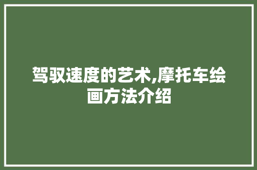 驾驭速度的艺术,摩托车绘画方法介绍