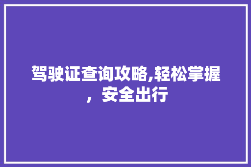驾驶证查询攻略,轻松掌握，安全出行 操作系统
