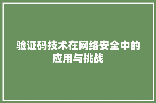验证码技术在网络安全中的应用与挑战 电脑配置