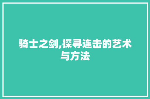 骑士之剑,探寻连击的艺术与方法