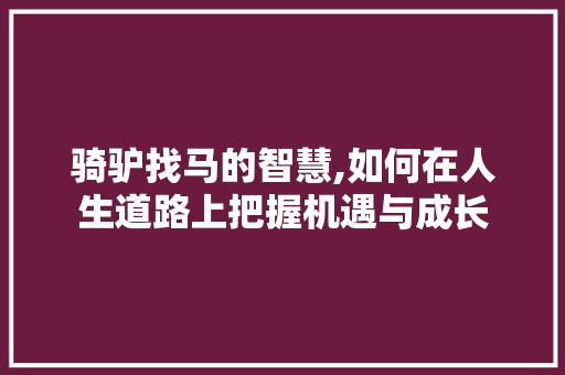 骑驴找马的智慧,如何在人生道路上把握机遇与成长