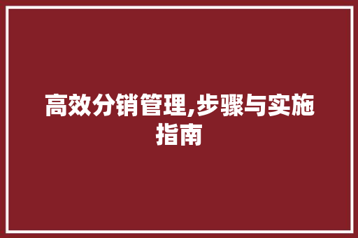 高效分销管理,步骤与实施指南