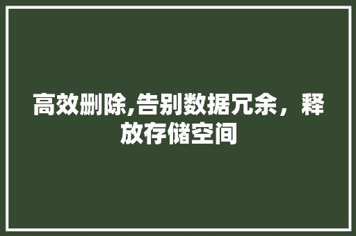 高效删除,告别数据冗余，释放存储空间 网络技术