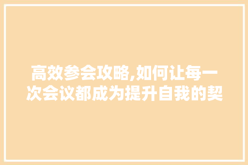 高效参会攻略,如何让每一次会议都成为提升自我的契机