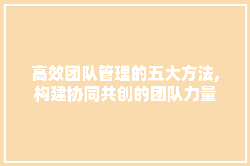 高效团队管理的五大方法,构建协同共创的团队力量