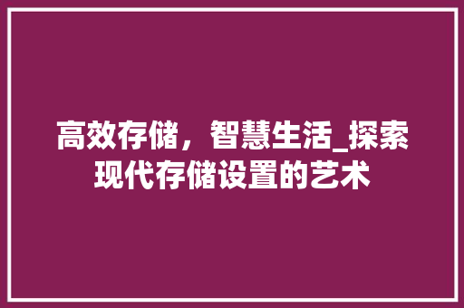 高效存储，智慧生活_探索现代存储设置的艺术