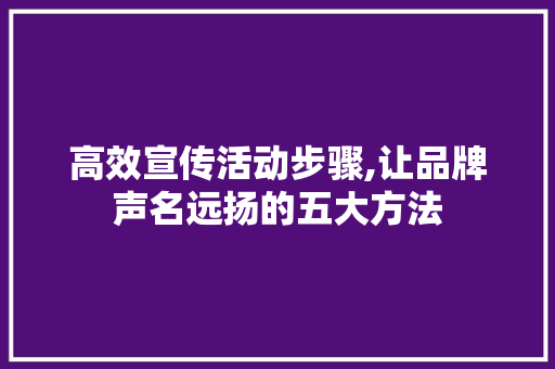 高效宣传活动步骤,让品牌声名远扬的五大方法