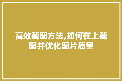 高效截图方法,如何在上截图并优化图片质量