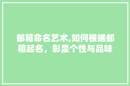 邮箱命名艺术,如何根据邮箱起名，彰显个性与品味