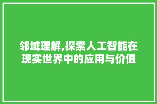 邻域理解,探索人工智能在现实世界中的应用与价值