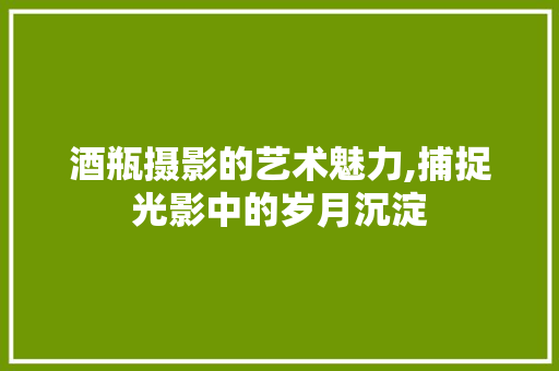 酒瓶摄影的艺术魅力,捕捉光影中的岁月沉淀