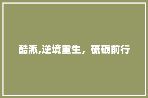酷派,逆境重生，砥砺前行