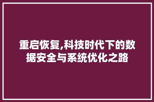 重启恢复,科技时代下的数据安全与系统优化之路