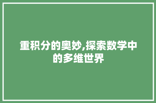 重积分的奥妙,探索数学中的多维世界