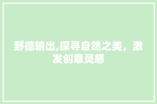 野德输出,探寻自然之美，激发创意灵感