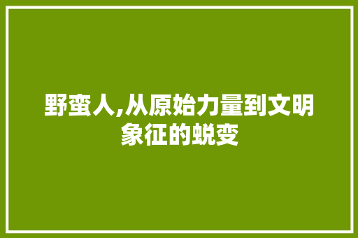 野蛮人,从原始力量到文明象征的蜕变