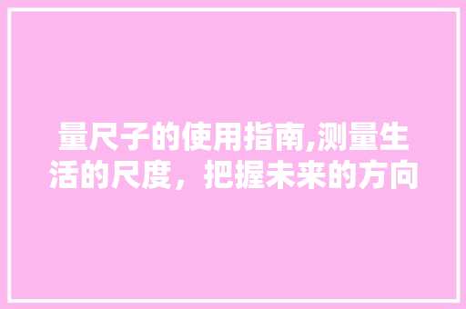 量尺子的使用指南,测量生活的尺度，把握未来的方向