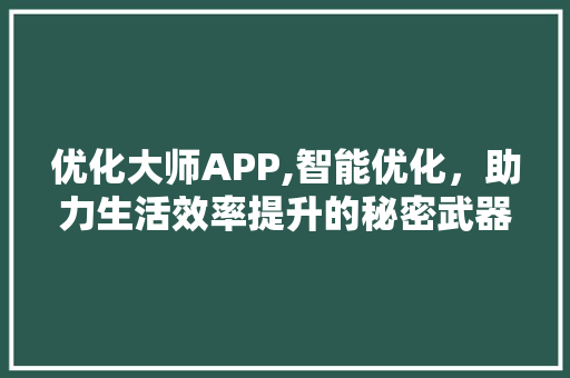 优化大师APP,智能优化，助力生活效率提升的秘密武器 优化大师APP,智能优化，助力生活效率提升的秘密武器 电脑基础