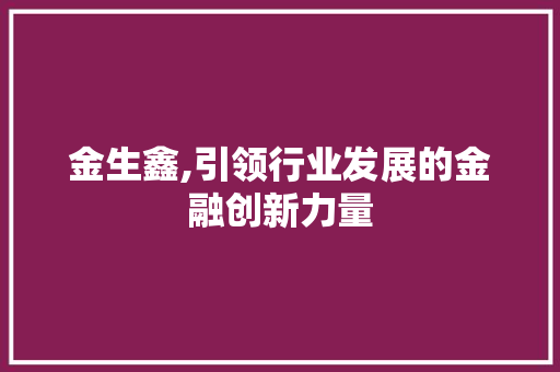 金生鑫,引领行业发展的金融创新力量 电脑配置
