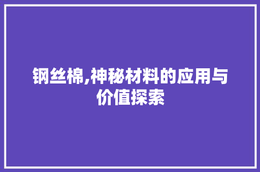 钢丝棉,神秘材料的应用与价值探索 钢丝棉,神秘材料的应用与价值探索