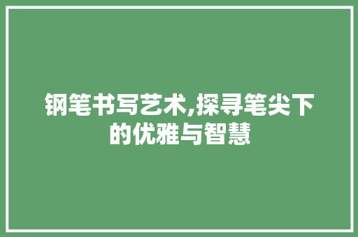 钢笔书写艺术,探寻笔尖下的优雅与智慧 钢笔书写艺术,探寻笔尖下的优雅与智慧