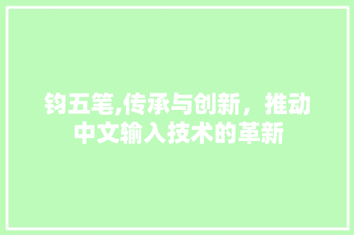 钧五笔,传承与创新，推动中文输入技术的革新 编程语言