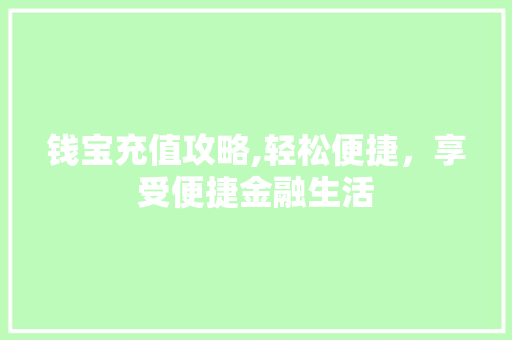 钱宝充值攻略,轻松便捷,享受便捷金融生活 钱宝充值攻略,轻松便捷,享受便捷金融生活