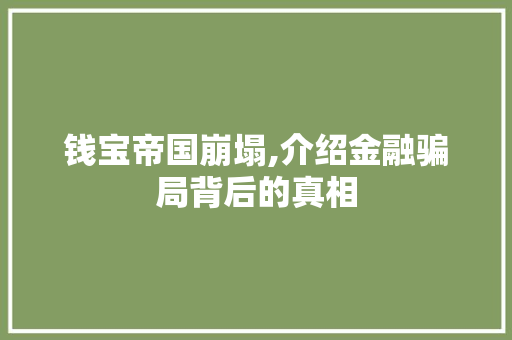 钱宝帝国崩塌,介绍金融骗局背后的真相