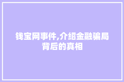 钱宝网事件,介绍金融骗局背后的真相 钱宝网事件,介绍金融骗局背后的真相