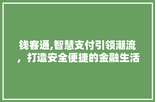 钱客通,智慧支付引领潮流,打造安全便捷的金融生活新范式 钱客通,智慧支付引领潮流,打造安全便捷的金融生活新范式
