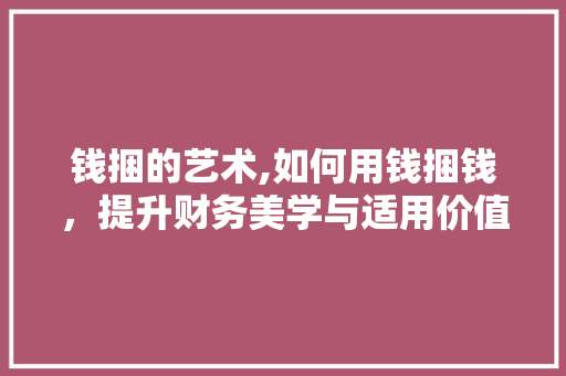 钱捆的艺术,如何用钱捆钱，提升财务美学与适用价值