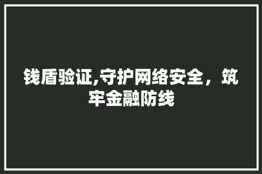 钱盾验证,守护网络安全，筑牢金融防线 网络技术