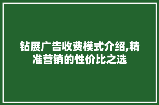 钻展广告收费模式介绍,精准营销的性价比之选