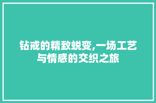 钻戒的精致蜕变,一场工艺与情感的交织之旅