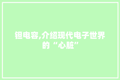 钽电容,介绍现代电子世界的“心脏” 编程语言 钽电容,介绍现代电子世界的“心脏” 编程语言
