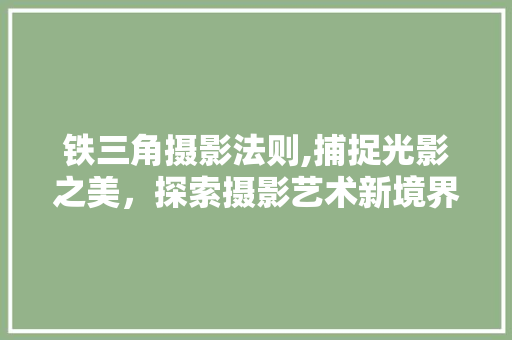 铁三角摄影法则,捕捉光影之美，探索摄影艺术新境界 编程语言