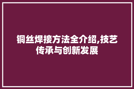 铜丝焊接方法全介绍,技艺传承与创新发展 铜丝焊接方法全介绍,技艺传承与创新发展