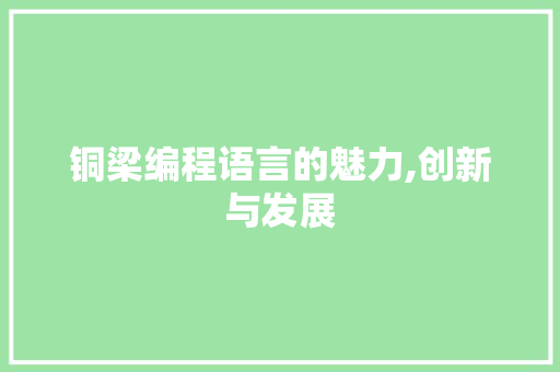 铜梁编程语言的魅力,创新与发展 铜梁编程语言的魅力,创新与发展