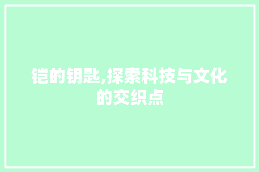铠的钥匙,探索科技与文化的交织点 编程语言 铠的钥匙,探索科技与文化的交织点 编程语言
