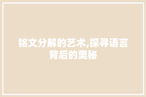 铭文分解的艺术,探寻语言背后的奥秘 编程语言