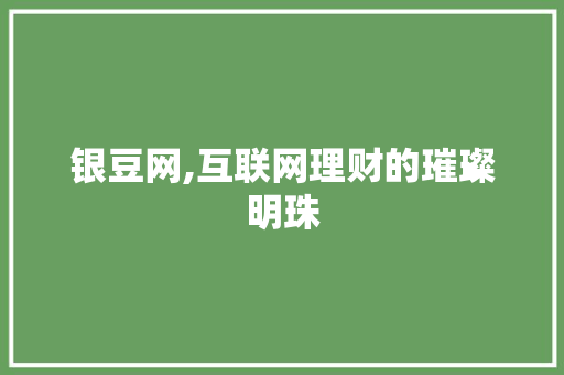 银豆网,互联网理财的璀璨明珠 操作系统