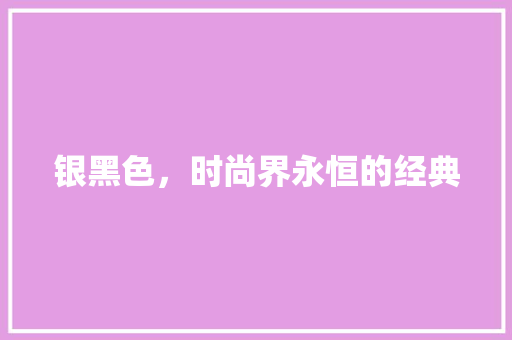 银黑色，时尚界永恒的经典 电脑配置